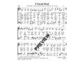 O Sacred Head - PDF Sheet Music