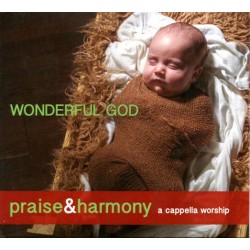Wonderful God - Praise and Harmony CD