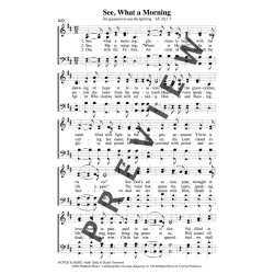 See What a Morning - PDF Song Sheet