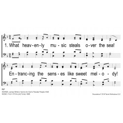 What Heavenly Music-PPT Slides