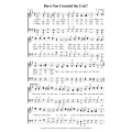 Have You Counted the Cost-PDF Song Sheet